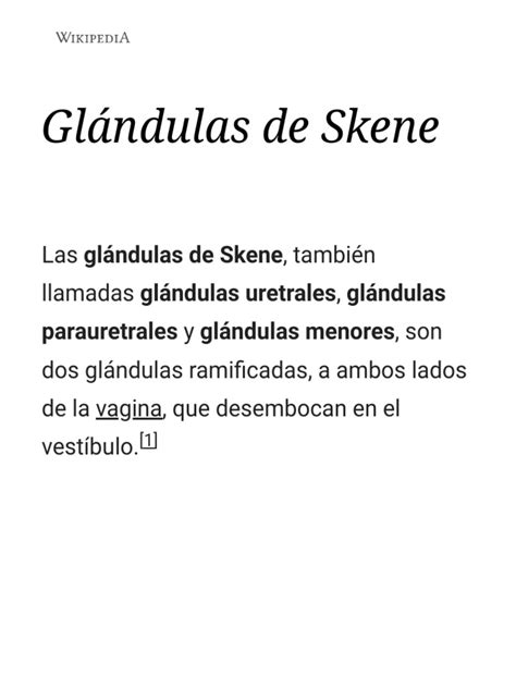 glândulas de bartholin e de skene|Glândula de Skene – Wikipédia, a enciclopédia livre